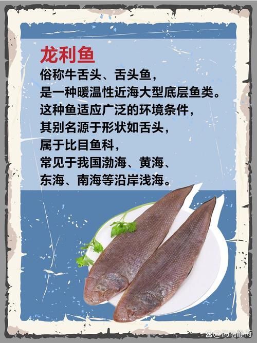 福清龍魚和龍利魚是一樣的嗎？，如何區分福清龍魚和龍利魚？