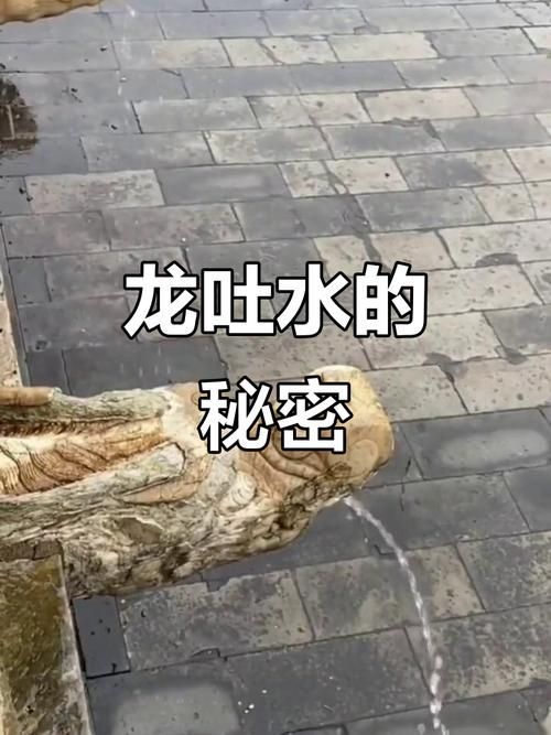 能否提供一張龍的肚子灌水變大的圖片，關(guān)于“龍的肚子灌水變大”的問題
