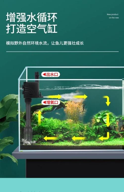 如何預(yù)防龍魚浮頭張嘴，如何預(yù)防龍魚浮頭
