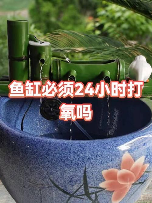 如何預防龍魚浮頭張嘴，如何預防龍魚浮頭