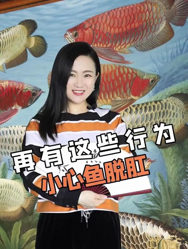 龍魚脫肛后如何治療，如何治療龍魚脫肛