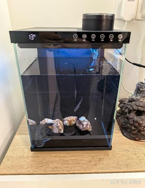 能推薦幾款性價比高的魚缸嗎，性價比高的魚缸推薦