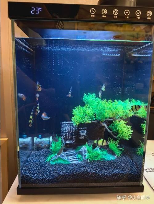 能推薦幾款性價比高的魚缸嗎，性價比高的魚缸推薦