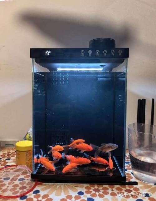 能推薦幾款性價比高的魚缸嗎，性價比高的魚缸推薦