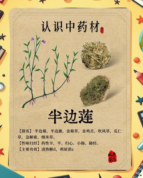 哪些中藥對魚咬傷有顯著療效，中藥在治療魚咬傷方面具有顯著療效以下是一些常用的中藥及其功效