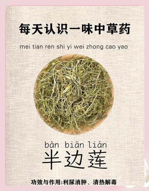 哪些中藥對魚咬傷有顯著療效，中藥在治療魚咬傷方面具有顯著療效以下是一些常用的中藥及其功效