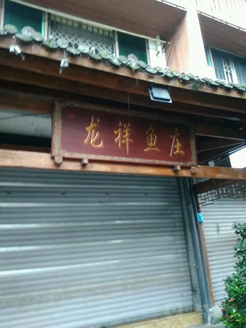 如何在手機上下載祥龍魚場APP？，關于祥龍魚場app的規劃