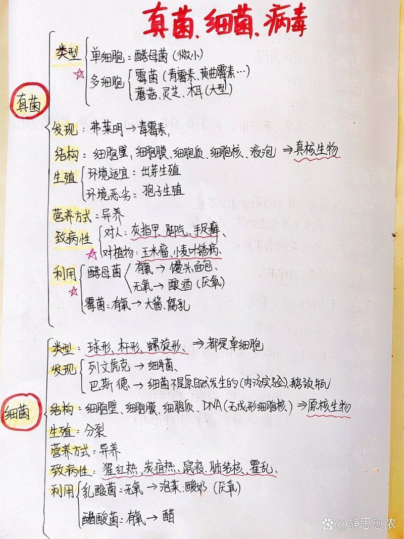 真菌細菌區分口訣，真菌與細菌區分口訣