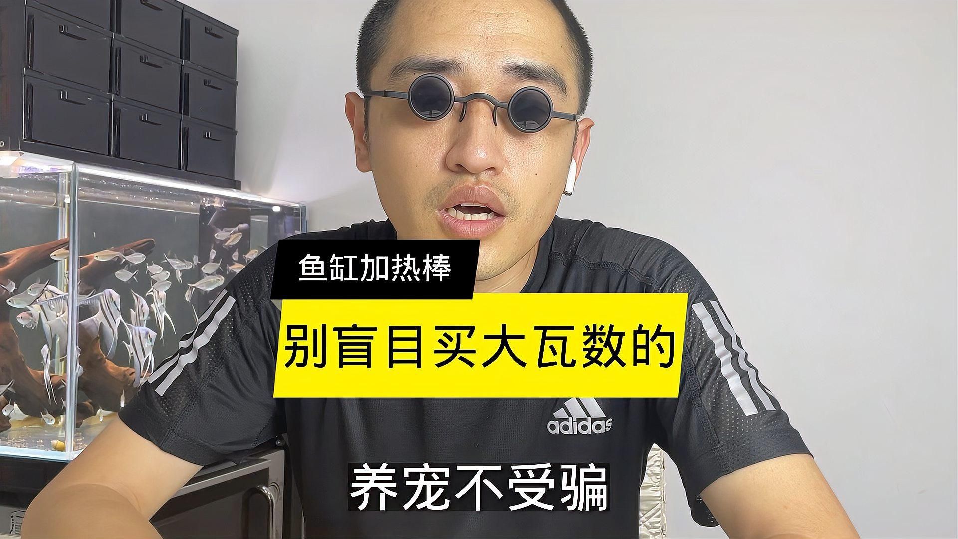 龍魚缸中哪些設備是必備的？，龍魚缸中哪些設備是必備的?
