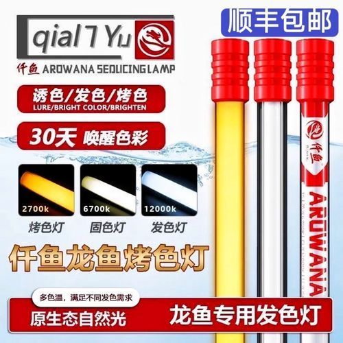 給我推薦幾款性價(jià)比高的NEC龍魚專用燈，nec龍魚專用燈具推薦