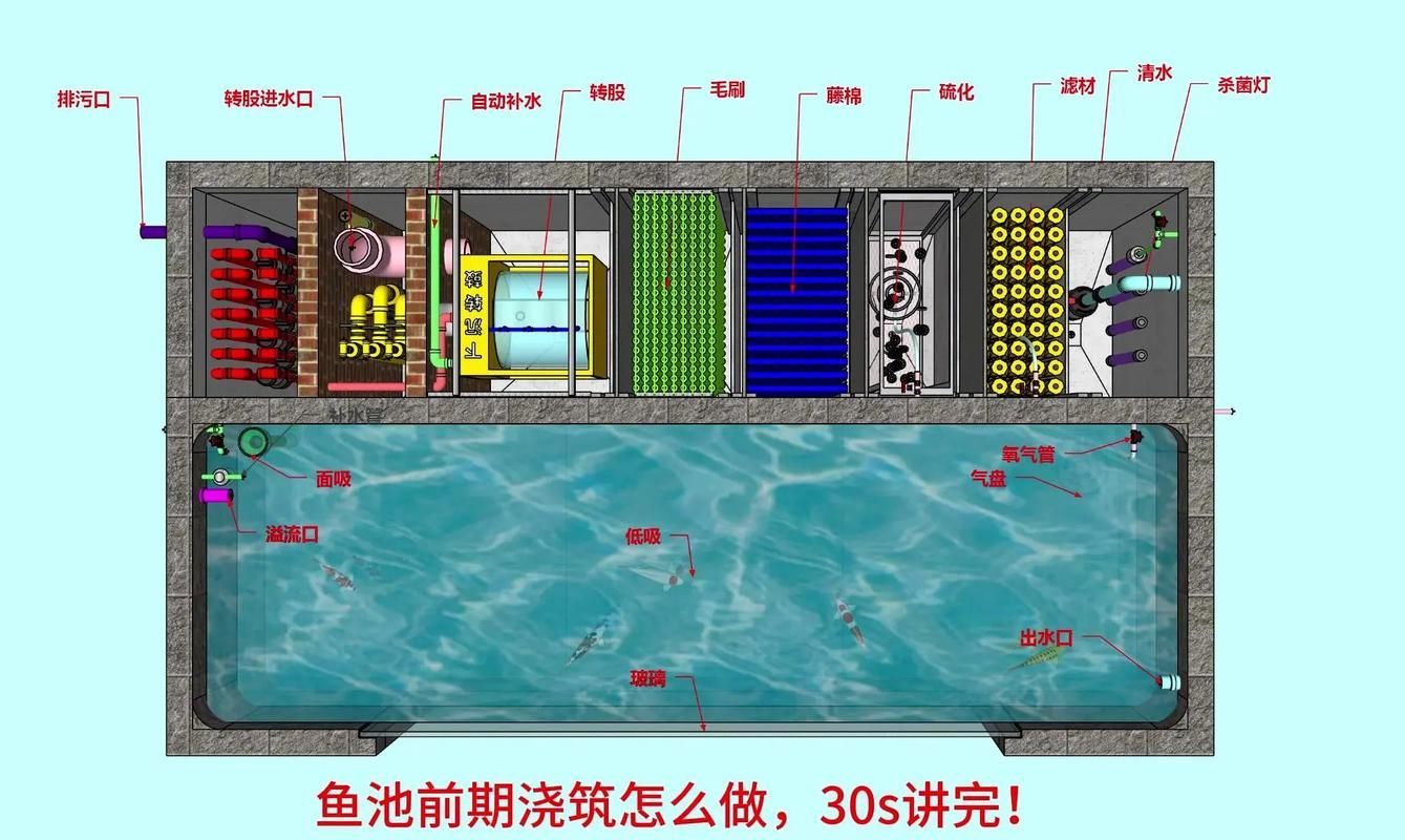 惠水龍魚有哪些養殖技術難點，惠水本地龍魚養殖的技術難點