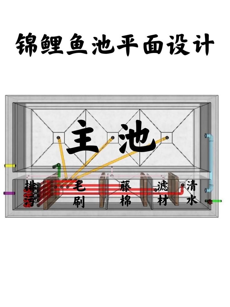 惠水龍魚有哪些養殖技術難點，惠水本地龍魚養殖的技術難點