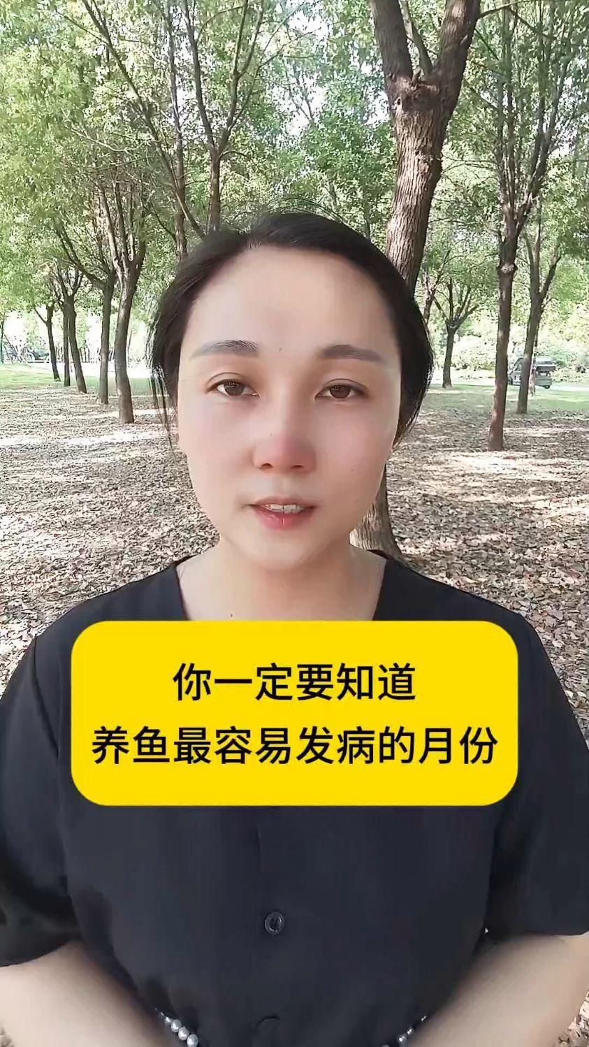 細(xì)菌性魚病的高發(fā)季節(jié)是什么時(shí)候，夏季錦鯉容易出現(xiàn)的四大細(xì)菌性魚病的高發(fā)季節(jié)是什么時(shí)候