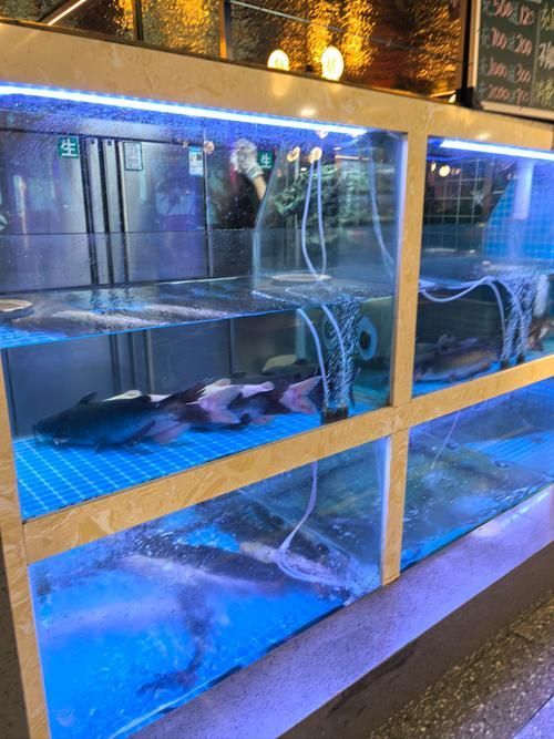 還有哪些廣東的龍魚漁場值得推薦？，廣東的龍魚漁場值得推薦嗎？