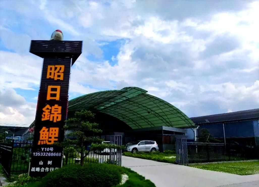 還有哪些廣東的龍魚漁場值得推薦？，廣東的龍魚漁場值得推薦嗎？