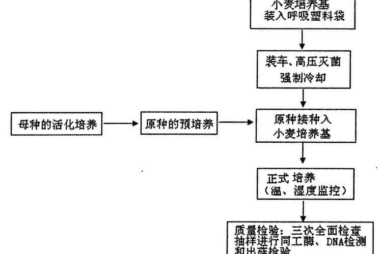 土霉素的正確使用方法