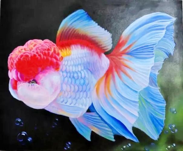 請提供更多關于觀賞魚市場價值評估的圖片