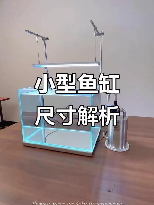 魚缸尺寸如何選擇，選擇魚缸尺寸是一個(gè)需要考慮多個(gè)因素的過程