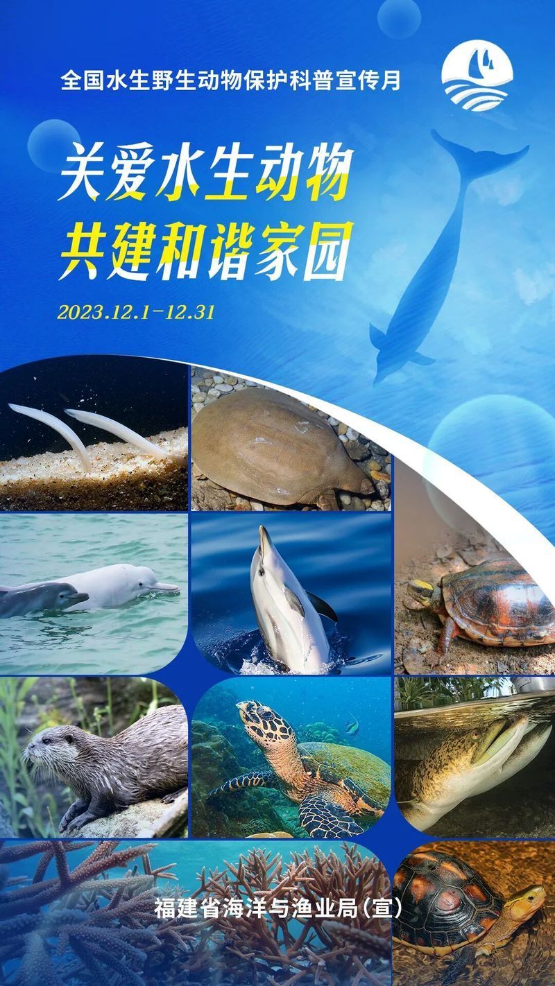 如何合法地獲取超血紅龍魚的養(yǎng)殖許可證？，合法獲取超血紅龍魚養(yǎng)殖許可證