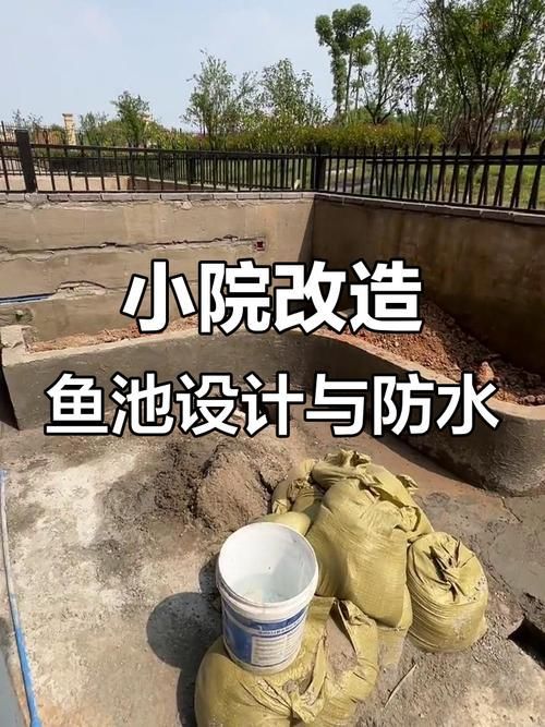 肥鄉(xiāng)龍魚(yú)的養(yǎng)殖技術(shù)有哪些？，肥鄉(xiāng)龍魚(yú)的養(yǎng)殖技術(shù)包括以下幾個(gè)方面：水質(zhì)管理是關(guān)鍵