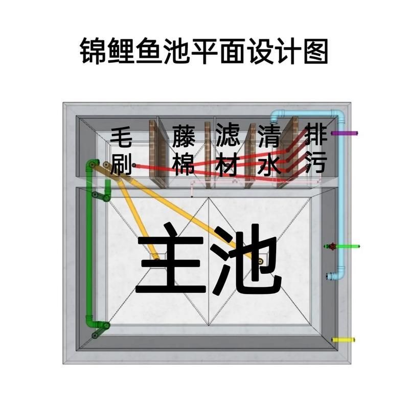 肥鄉(xiāng)龍魚(yú)的養(yǎng)殖技術(shù)有哪些？，肥鄉(xiāng)龍魚(yú)的養(yǎng)殖技術(shù)包括以下幾個(gè)方面：水質(zhì)管理是關(guān)鍵