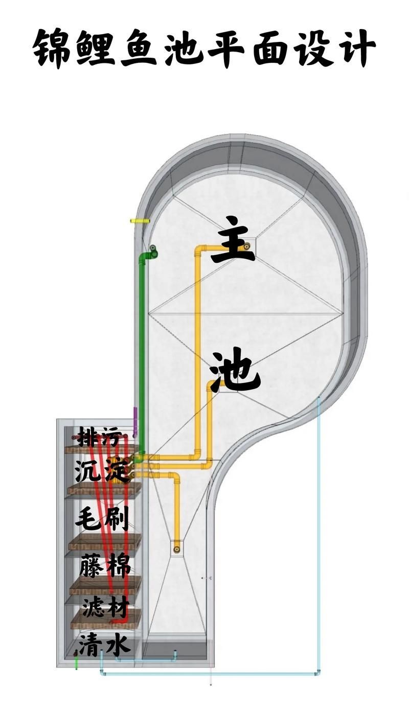 肥鄉(xiāng)龍魚(yú)的養(yǎng)殖技術(shù)有哪些？，肥鄉(xiāng)龍魚(yú)的養(yǎng)殖技術(shù)包括以下幾個(gè)方面：水質(zhì)管理是關(guān)鍵
