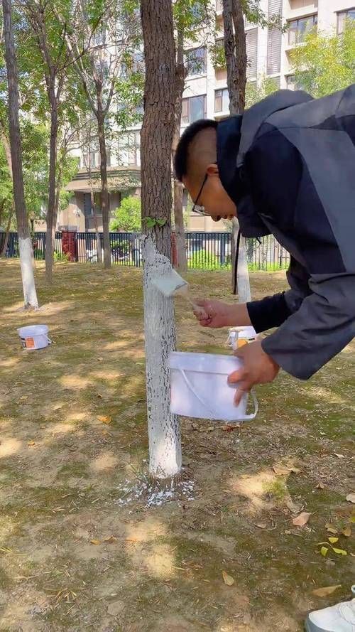 春秋季兩次防治具體如何操作，春秋季兩次養花操作詳解