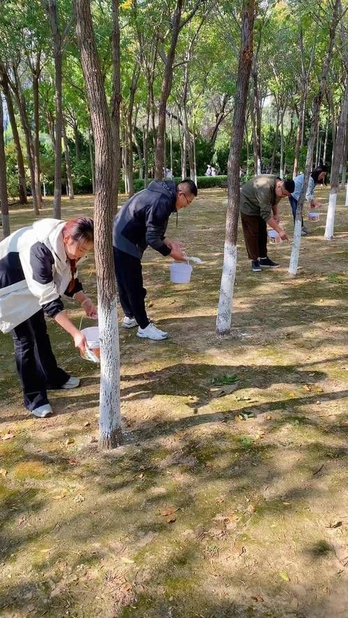 春秋季兩次防治具體如何操作，春秋季兩次養花操作詳解