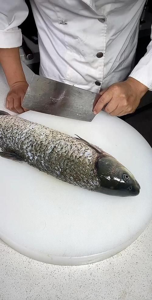 如何區(qū)分真假高背金龍魚烤魚？，———高背金龍魚烤魚“真假”