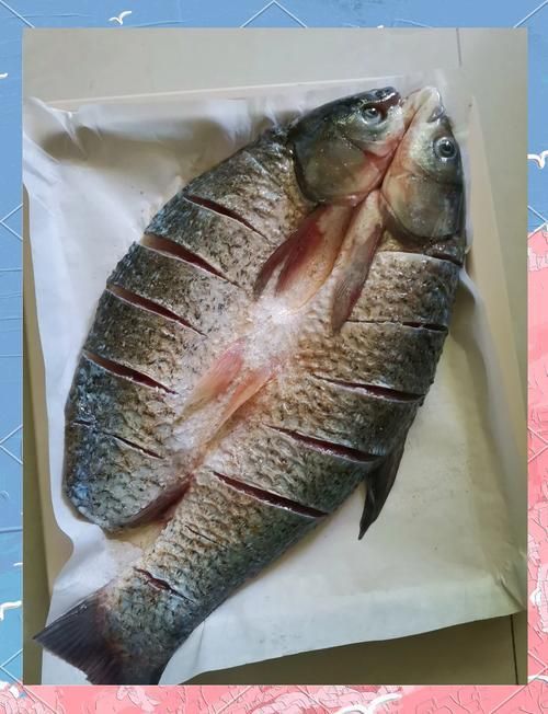 如何區(qū)分真假高背金龍魚烤魚？，———高背金龍魚烤魚“真假”
