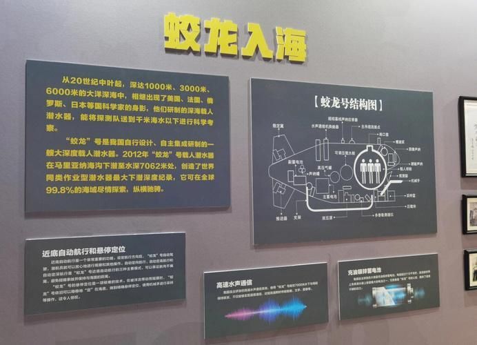 深海龍魚和觀賞龍魚哪個更有科研價值？，深海龍魚與觀賞龍魚的區別