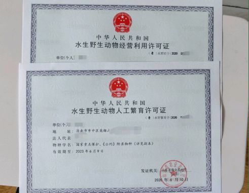 翁源縣對龍魚養殖有何具體政策？，翁源縣對龍魚養殖的具體政策