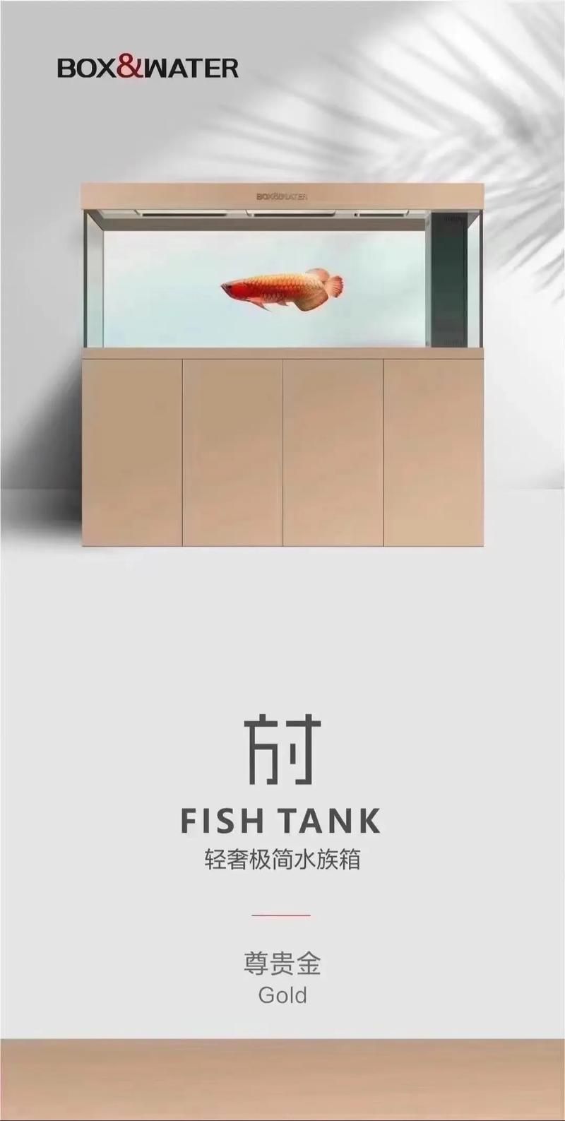 博特水族有哪些主打產品？