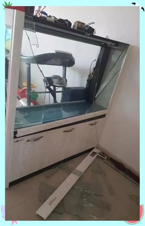 如何檢測龍魚魚缸的密封性？，如何檢測龍魚魚缸密封性