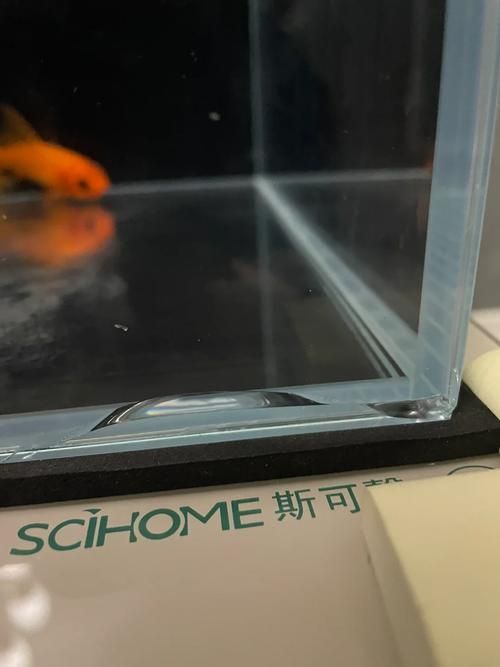 如何檢測龍魚魚缸的密封性？，如何檢測龍魚魚缸密封性