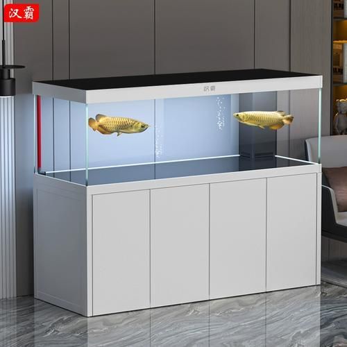 高端龍魚缸品牌有哪些推薦？，高端龍魚缸品牌推薦