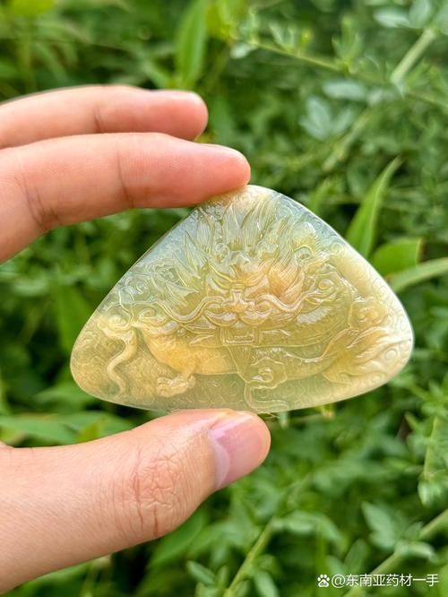 如何辨別真假田陽龍魚？，如何辨別田陽龍魚