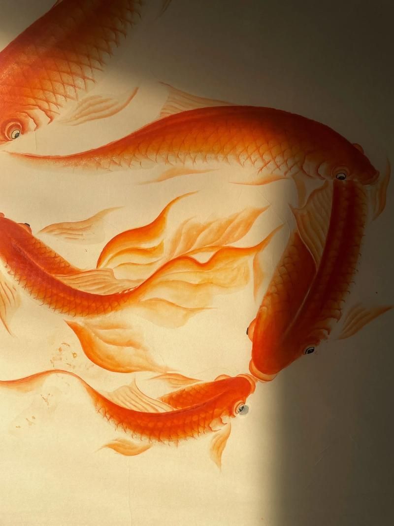 福滿鉆魚有哪些寓意，福滿鉆魚是什么意思