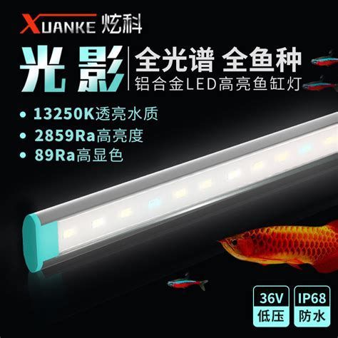 有哪些龍魚燈光品牌推薦？，龍魚燈光品牌推薦