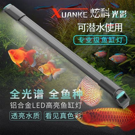 有哪些龍魚燈光品牌推薦？，龍魚燈光品牌推薦