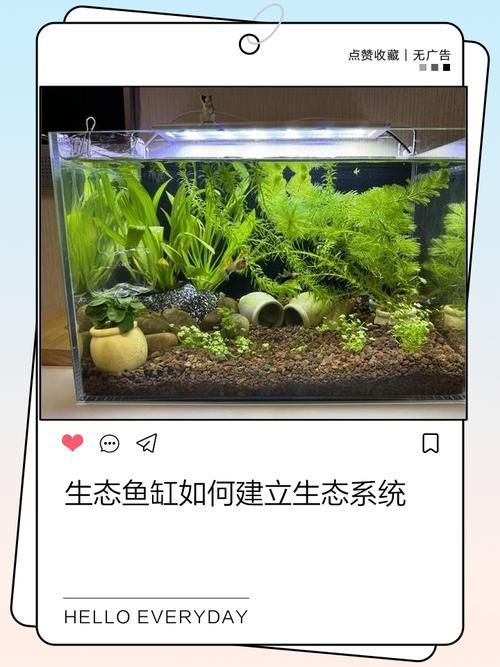 如何預防金魚再次爛尾，arxiv論文助手預防金魚再次爛尾思考完成arxiv論文助手