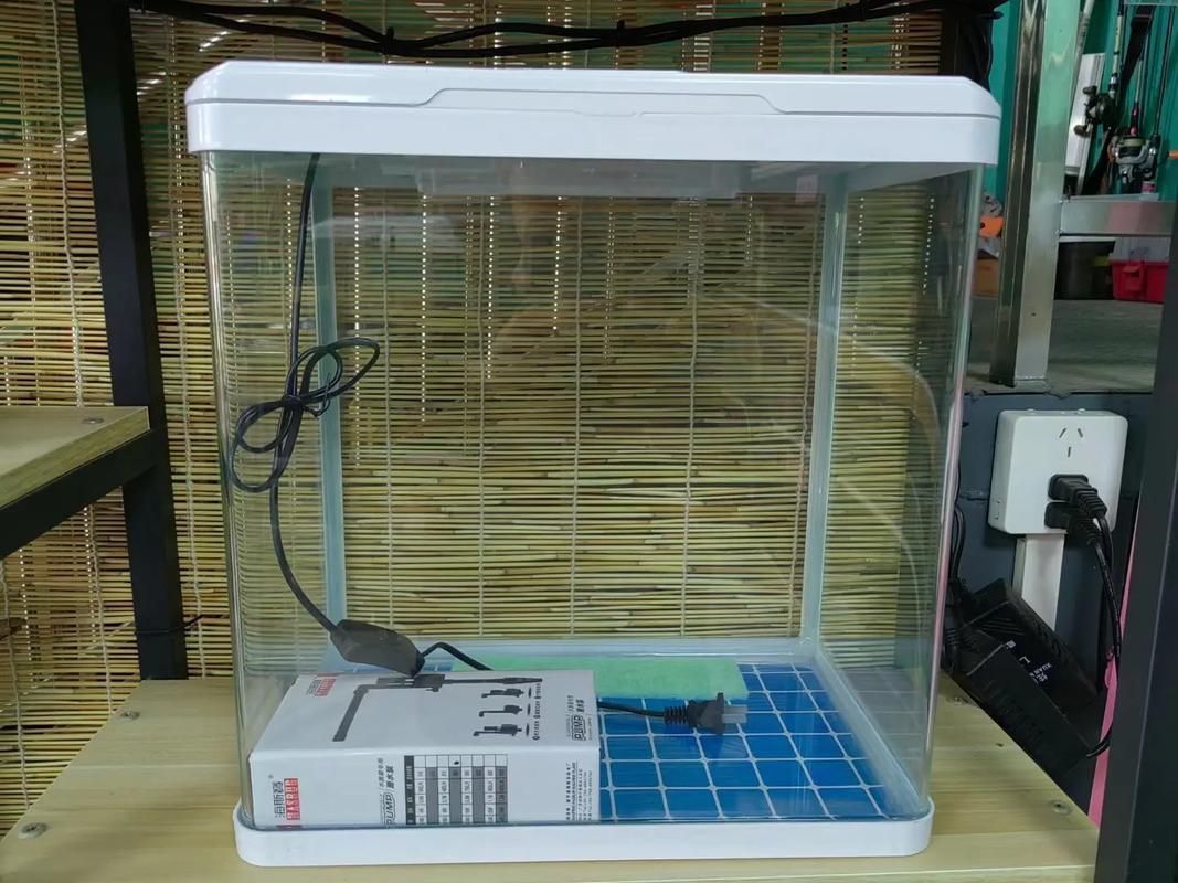 如何預防金魚再次爛尾，arxiv論文助手預防金魚再次爛尾思考完成arxiv論文助手