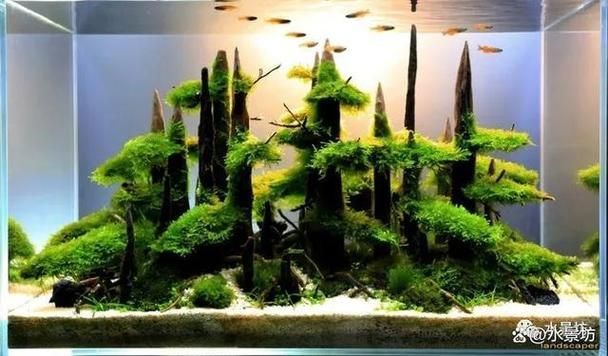 如何預防金魚再次爛尾，arxiv論文助手預防金魚再次爛尾思考完成arxiv論文助手