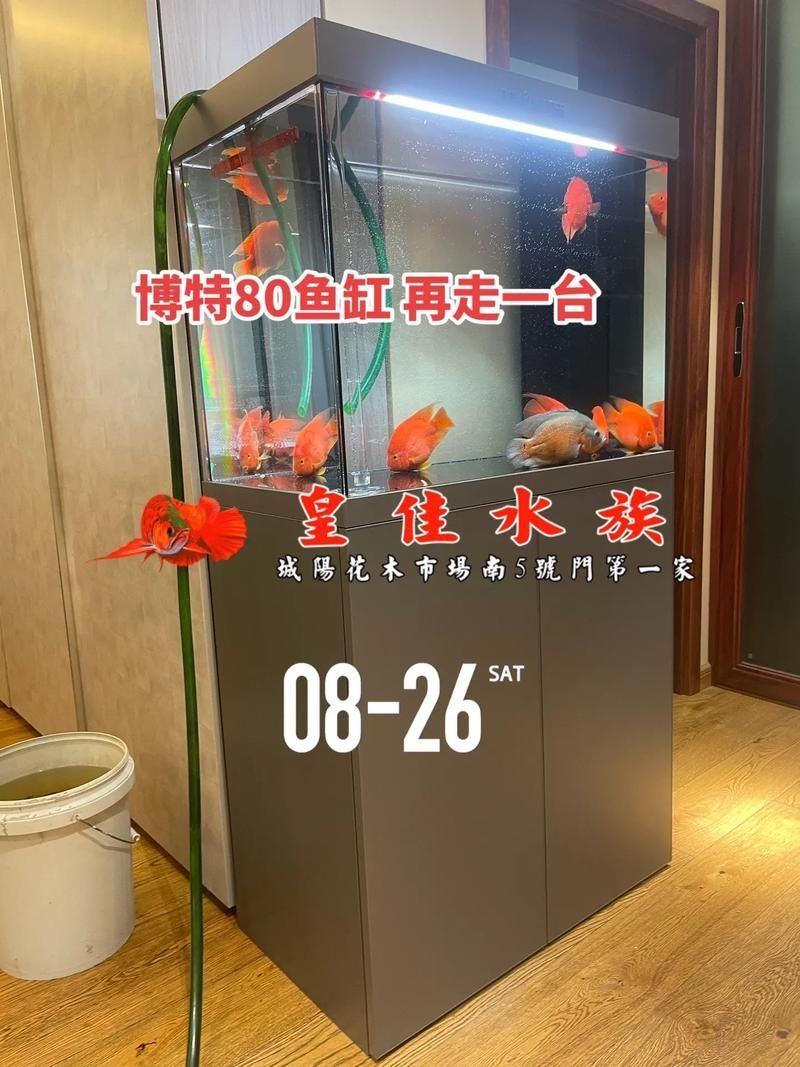 博特魚缸有哪些型號？，博特魚缸哪個型號最好？