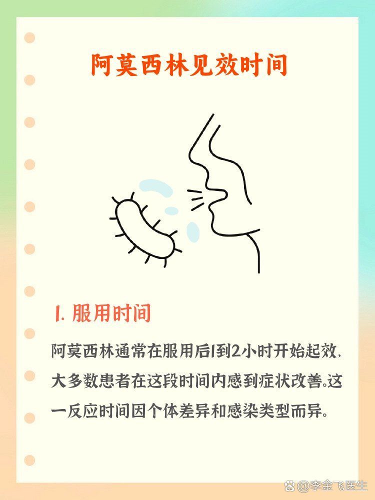 服用阿莫西林后多久見效