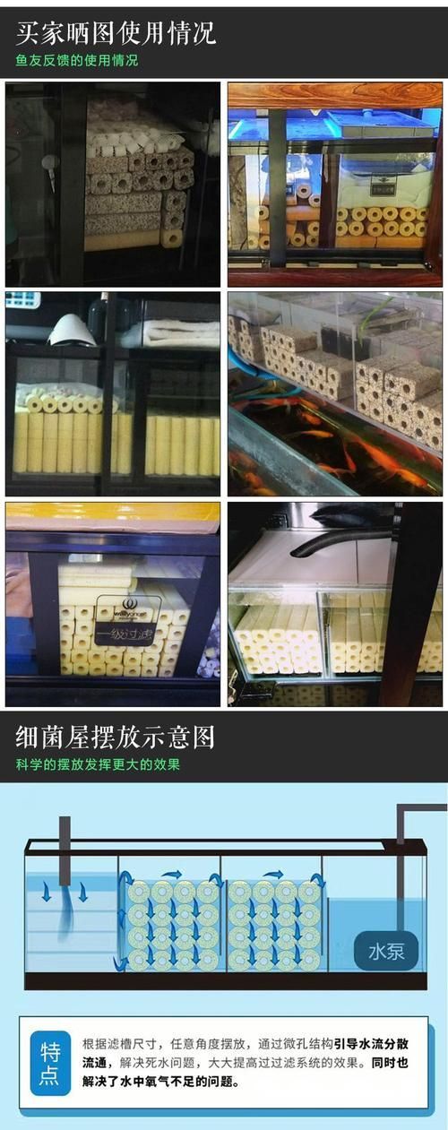 如何選擇適合的魚缸濾材，選擇適合的魚缸濾材是確保水質清潔和魚類健康的關鍵