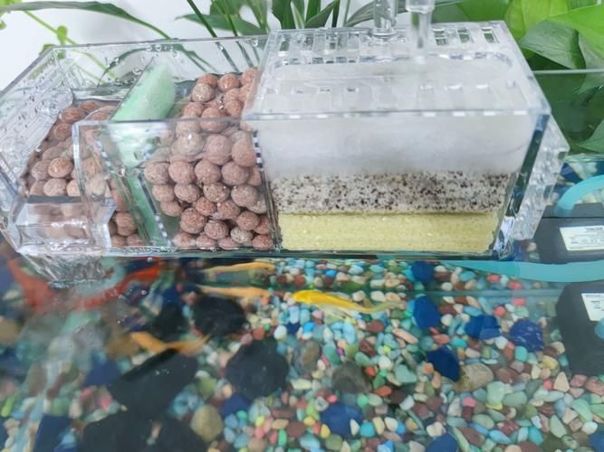 如何選擇適合的魚缸濾材，選擇適合的魚缸濾材是確保水質清潔和魚類健康的關鍵