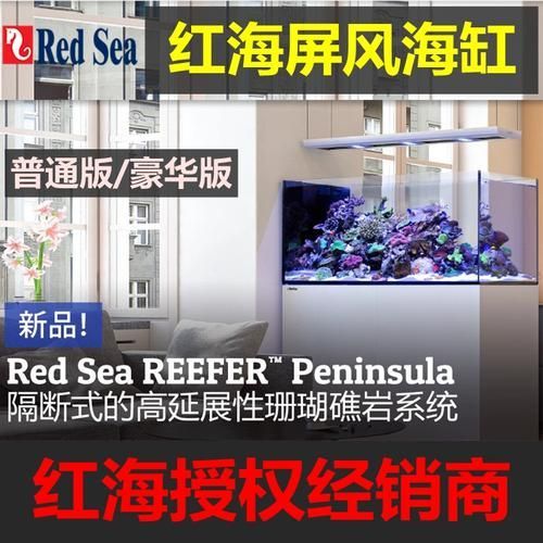 Red Sea、CADE、Waterbox哪個品牌口碑最好？