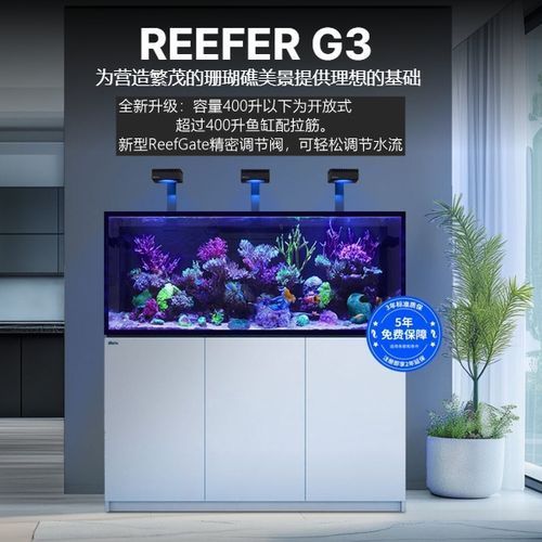 Red Sea、CADE、Waterbox哪個品牌口碑最好？