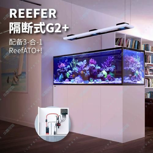 Red Sea、CADE、Waterbox哪個品牌口碑最好？